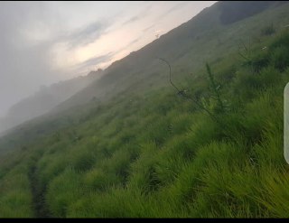 Carbon and climate finance initiatives