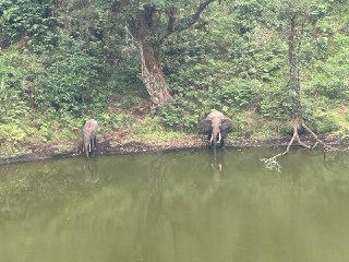 Value Chains for NTFP