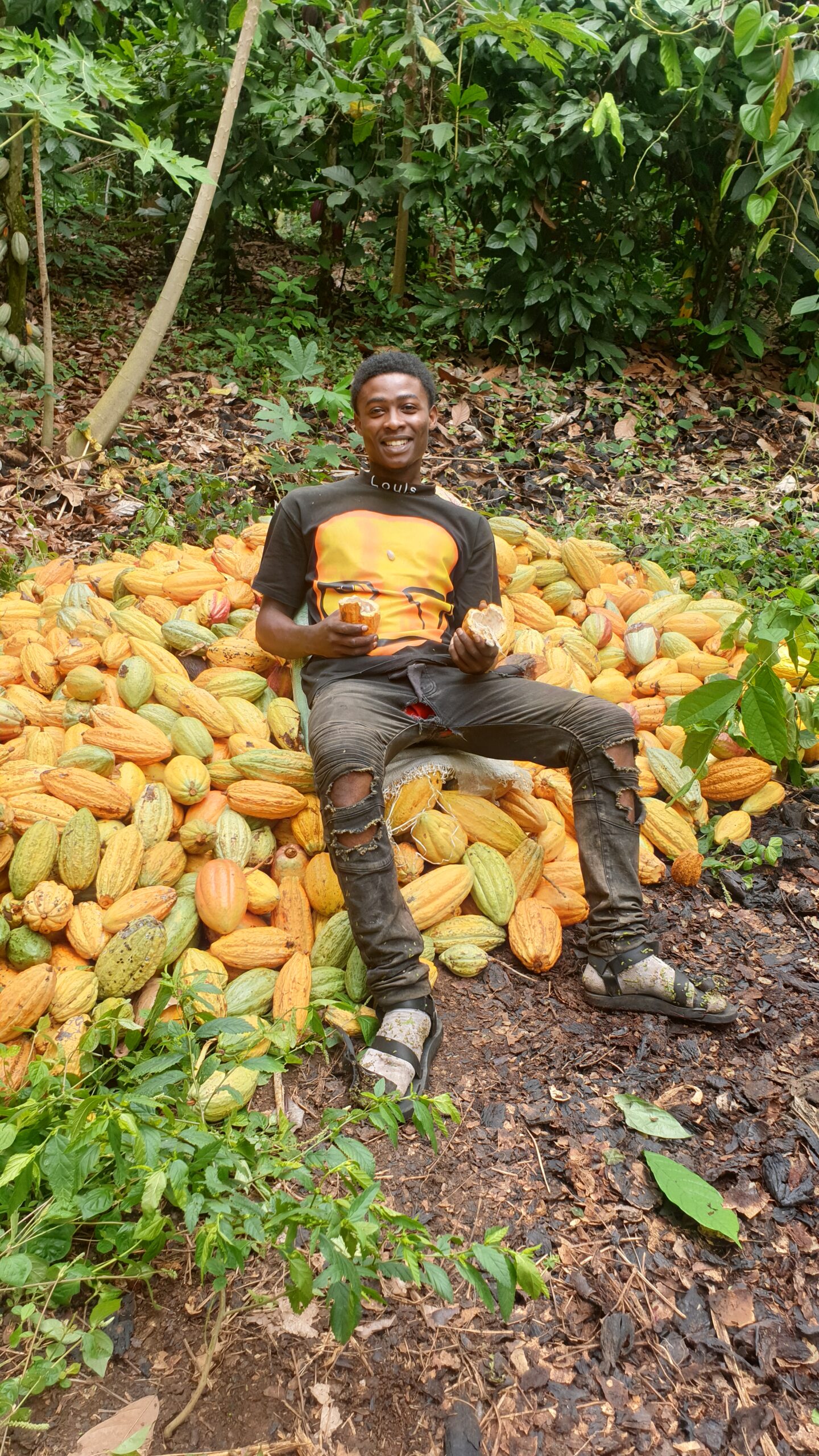 Resilient crop production