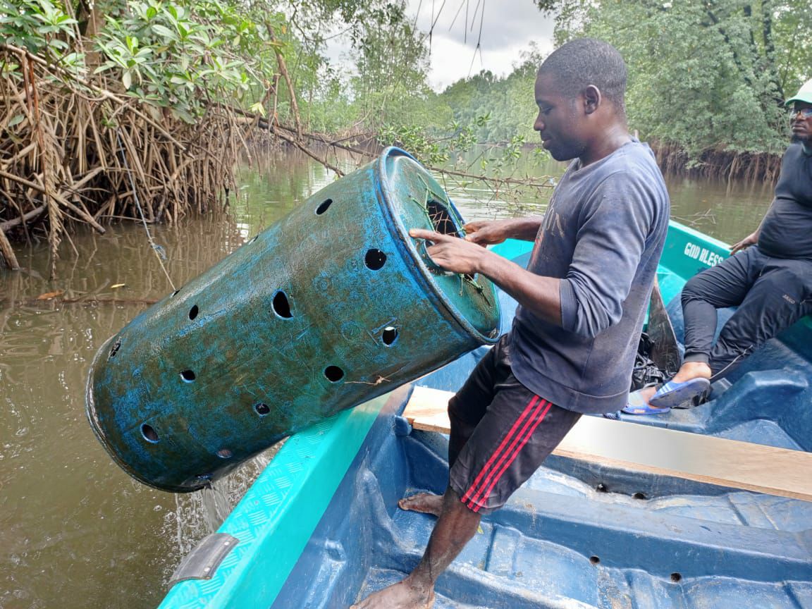 BAReN conservation work