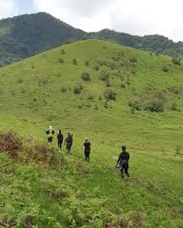 Climate-smart landscapes