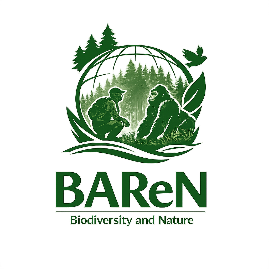 BAReN Logo