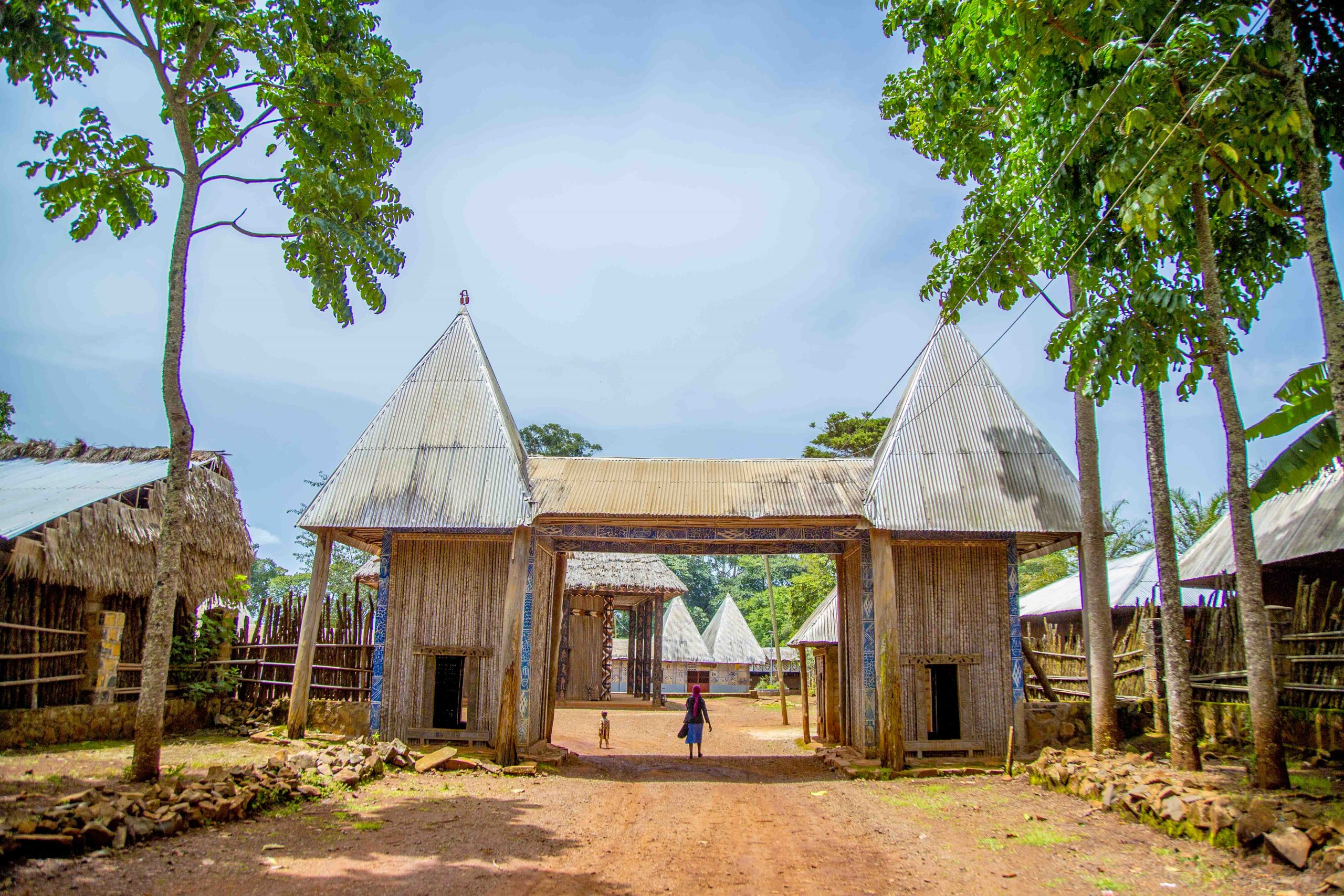 Field activities and community work