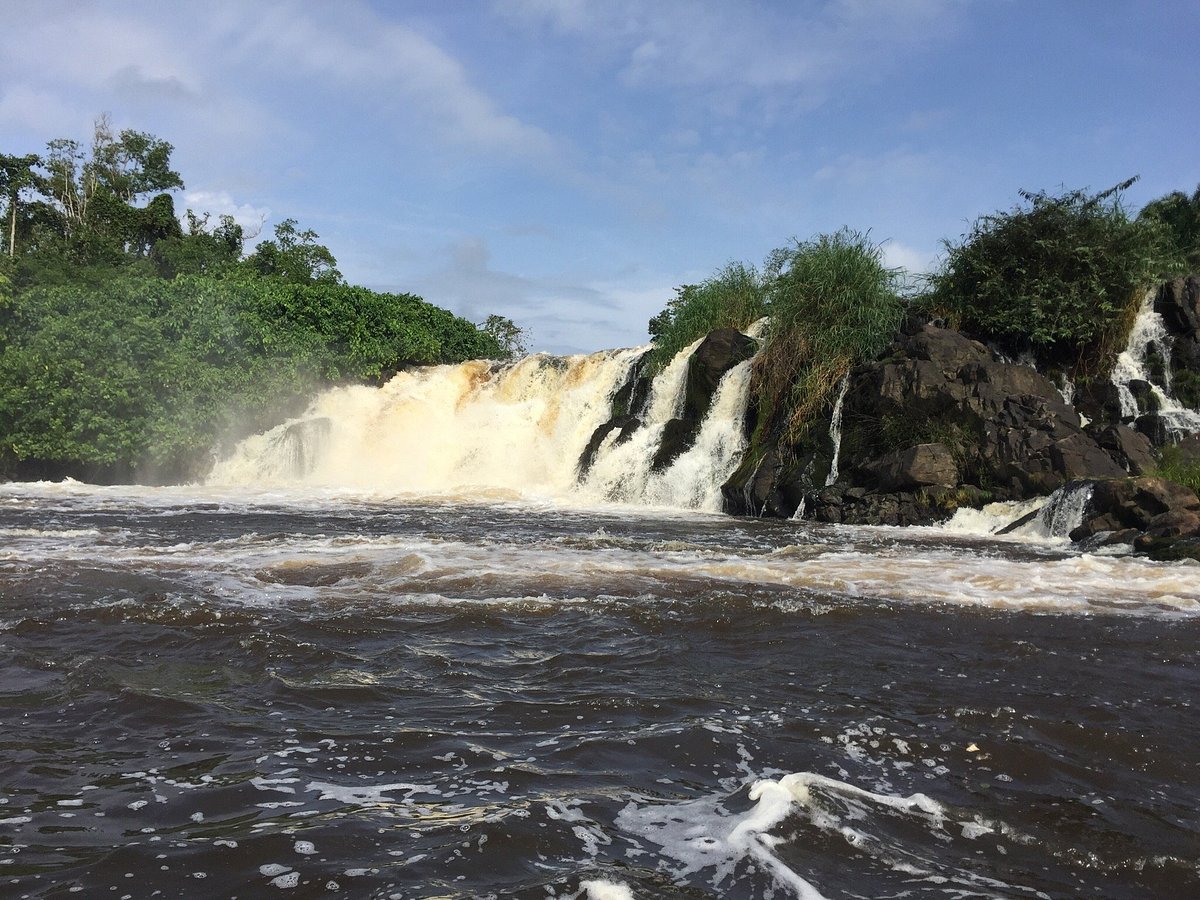 Coastal and marine ecosystems