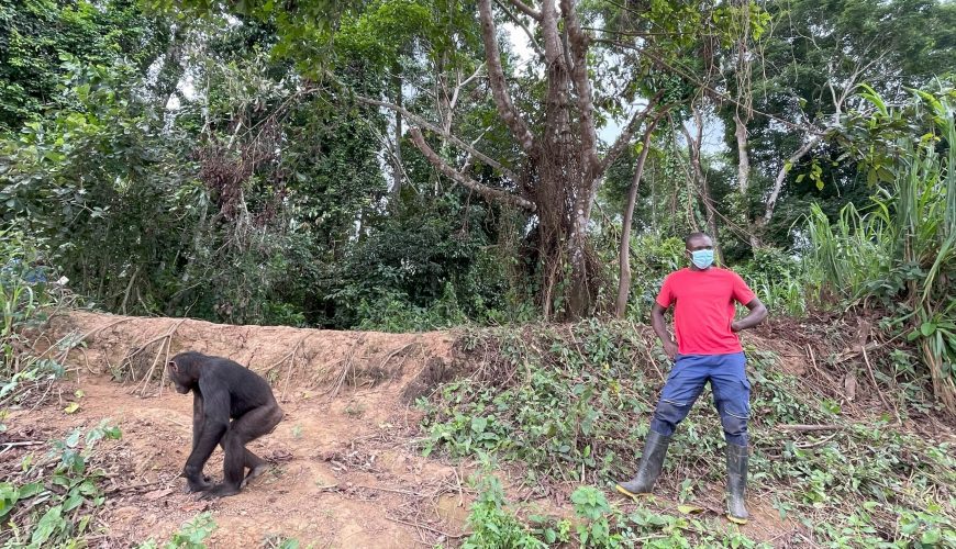 Members engaging with wildlife education