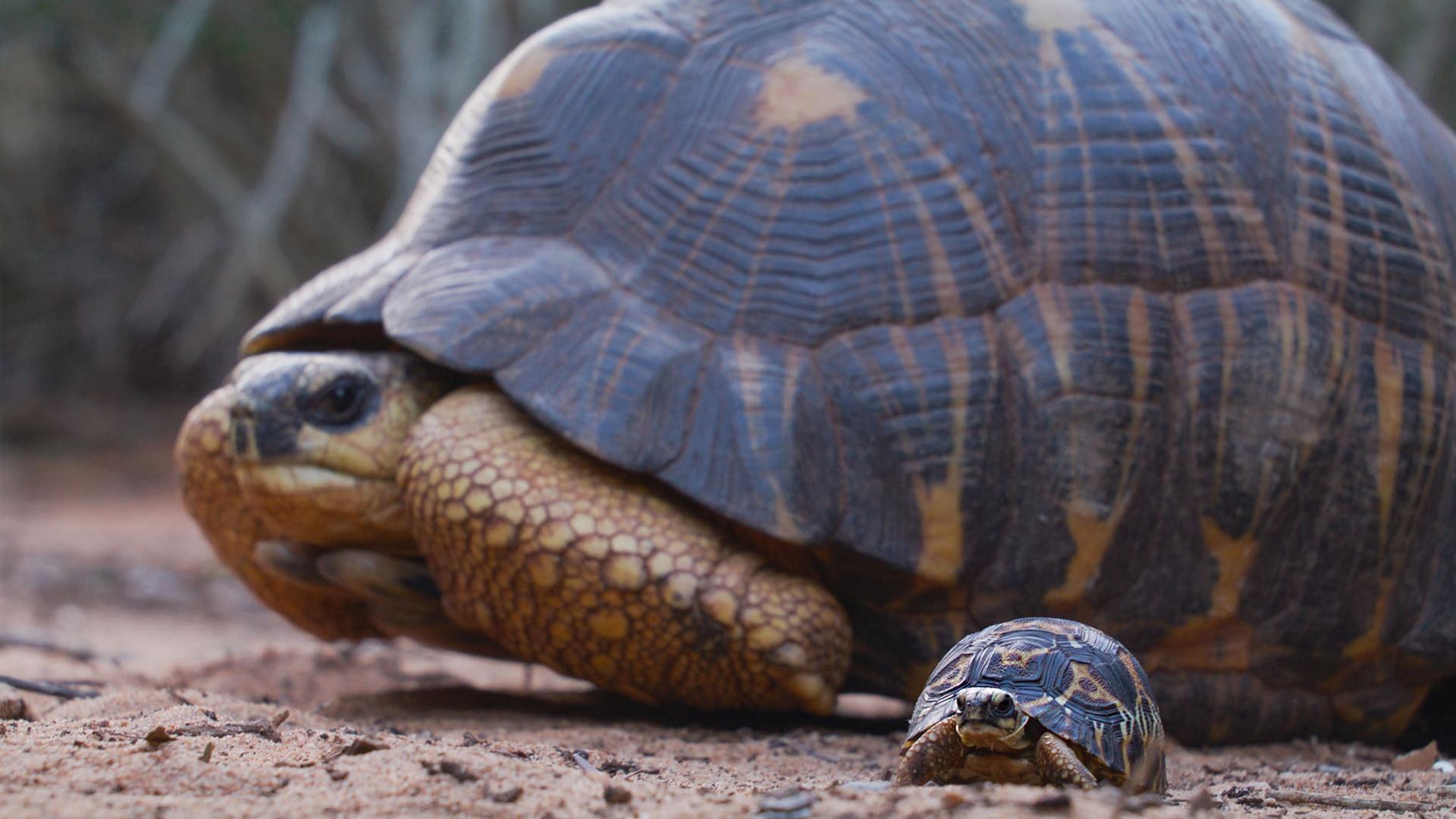Habitat restoration and stewardship