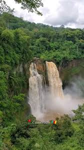 Freshwater ecosystems and services