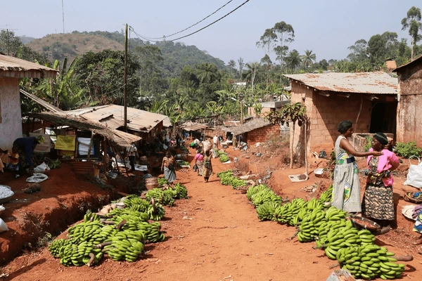 Agricultural value chains